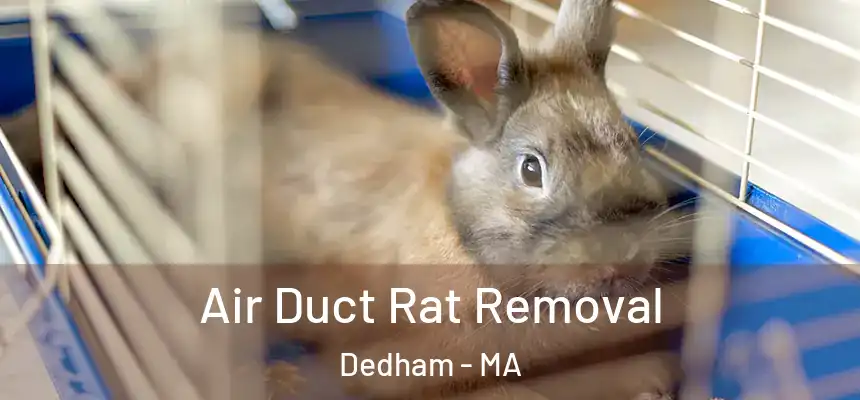  Air Duct Rat Removal Dedham - MA