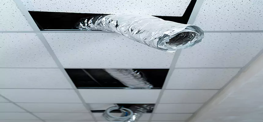 Our Air Duct Pet Hair Removal Services in Dedham, MA