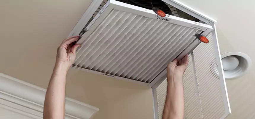 Our Insect Removal from Air Ducts Services in Dedham, MA