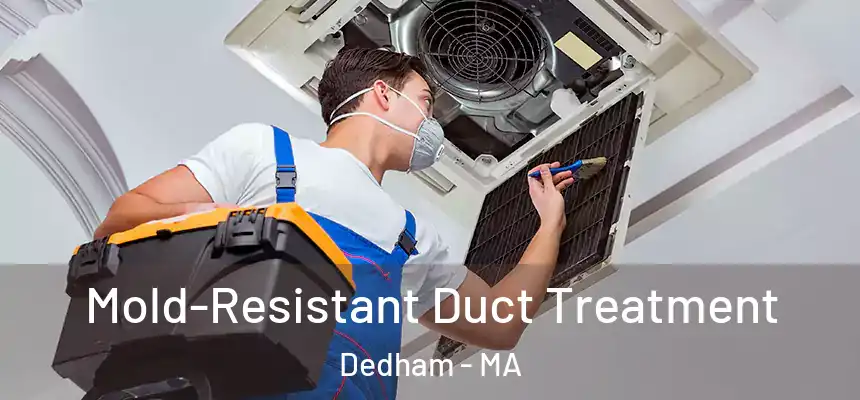 Mold-Resistant Duct Treatment Dedham - MA