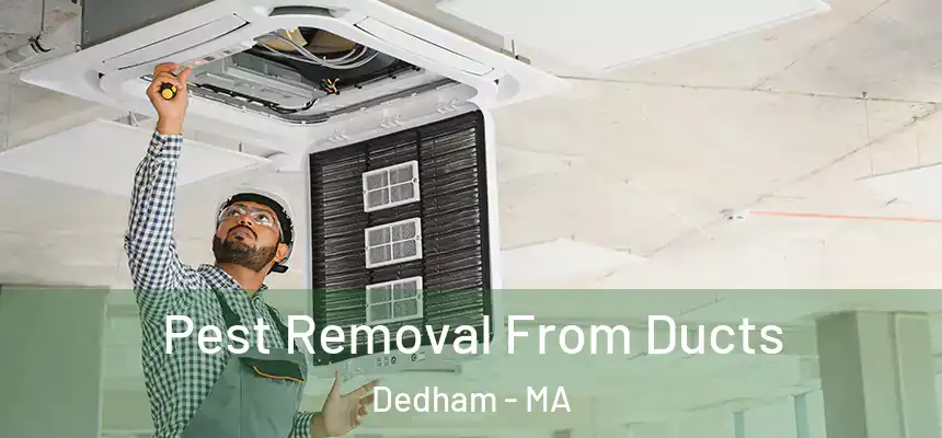  Pest Removal From Ducts Dedham - MA