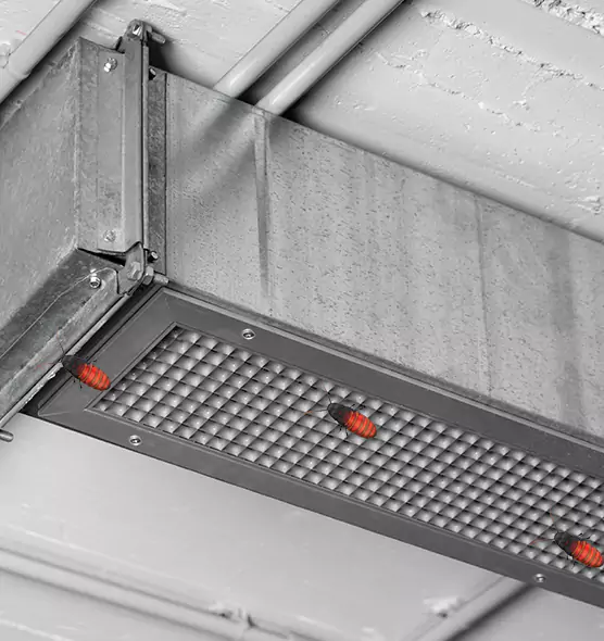 About Air Duct Cockroach Removal in Dedham, MA