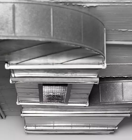 Professional Air Duct Pet Hair Removal in Dedham, MA