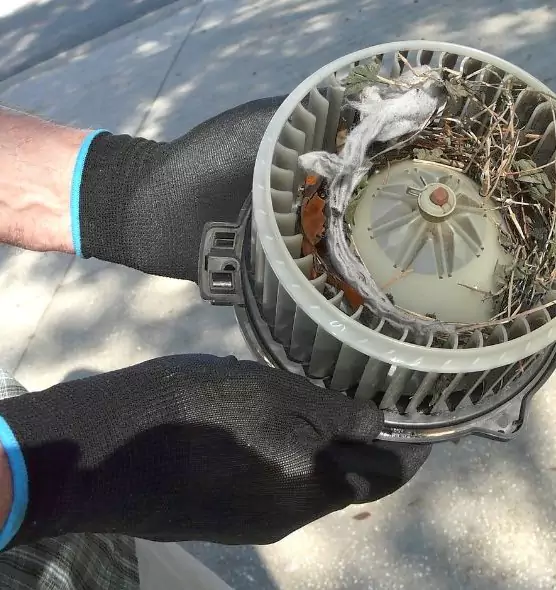 About Air Duct Rat Removal in Dedham, MA