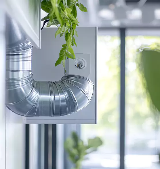 Professional Eco-Safe Dryer Vent Cleaning in Dedham, MA