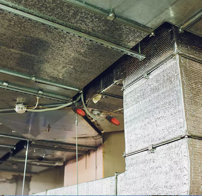 Why Homeowners & Businesses Trust Us in Dedham, MA?