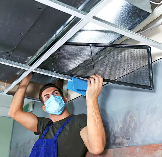 Why Homeowners Businesses Trust Us in Dedham, MA