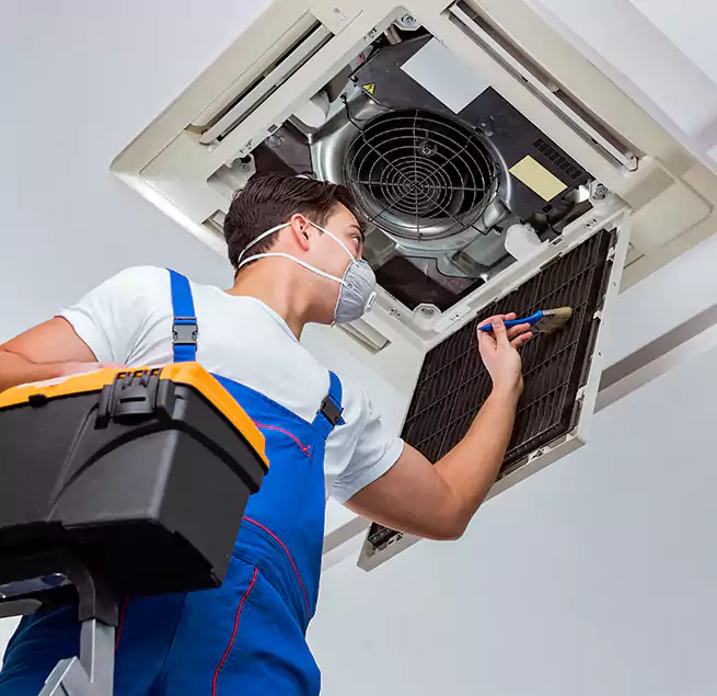 Why Homeowners & Businesses Trust Us in Dedham, MA