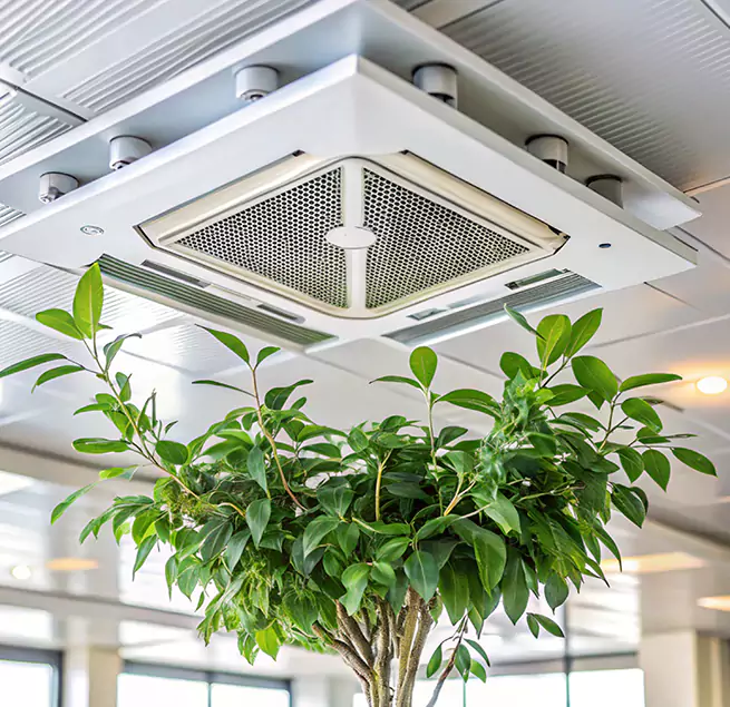 Why Homeowners & Businesses Trust Us in Dedham, MA?