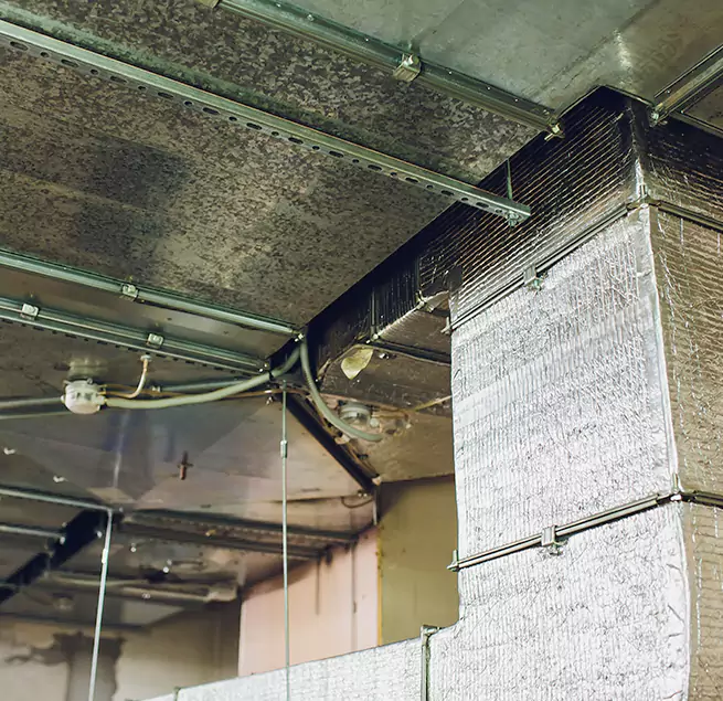 Why Homeowners & Businesses Trust Us in Dedham, MA?