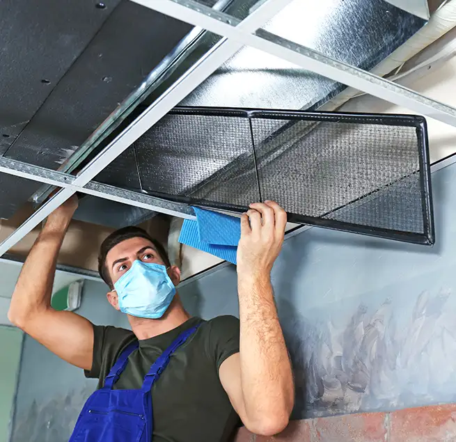 Why Homeowners & Businesses Trust Us in Dedham, MA?